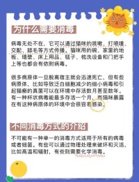 如何正确进行家庭消毒？微生物学指南
