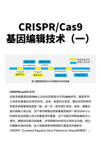 基因编辑技术如何应用于农业育种？生物技术进展