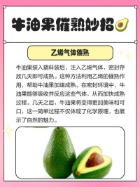 让牛油果快速成熟的办法