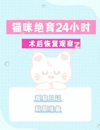 猫咪绝育后怎么护理？术后注意事项