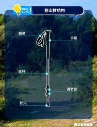 登山杖握把选择？人体工程学设计