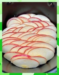 空气炸锅食谱创新！用它烤出酥脆的苹果片
