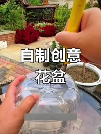 塑料瓶变花盆？底部「烫 3 排孔」防烂根