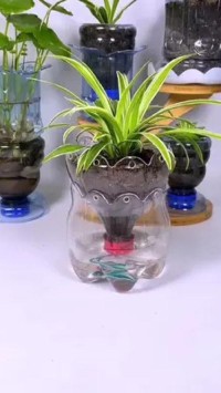 塑料瓶改造！制作水培容器