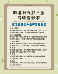 咖啡因如何影响大脑功能？从分子机制到日常应用