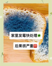 家居防潮小技巧，告别潮湿发霉