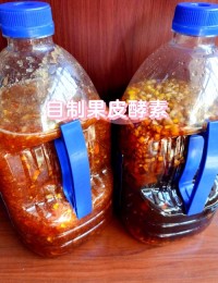 自制环保酵素？果皮糖水发酵三个月！