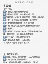 寄居蟹攀爬障碍设计？螺旋通道